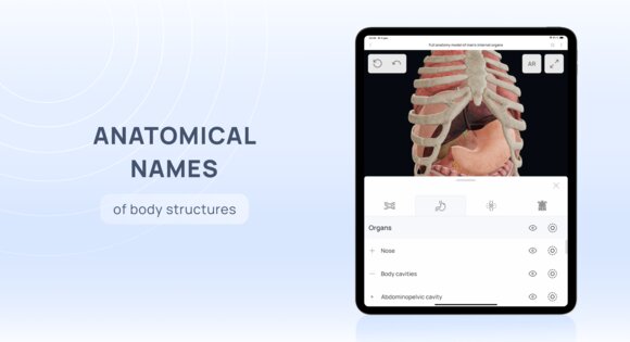 VOKA 3D Anatomy & Pathology 6.6.0. Скриншот 22