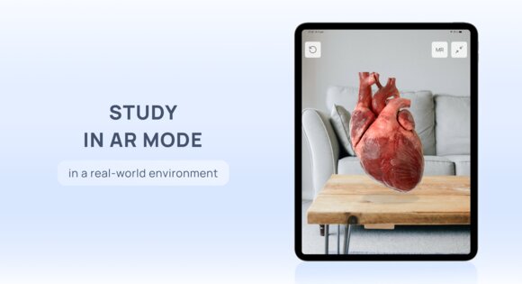 VOKA 3D Anatomy & Pathology 6.6.0. Скриншот 24