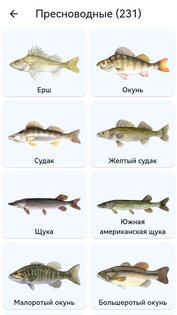 Планета Рыб 10.0.88. Скриншот 2