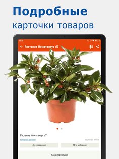 МЕГАСТРОЙ: для стройки/ремонта 1.0.120. Скриншот 10