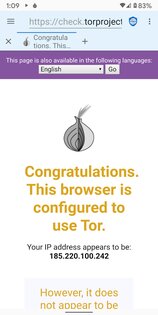 Privacy Browser 3.19.3. Скриншот 4