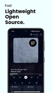 Spotube 5.1.0. Скриншот 2