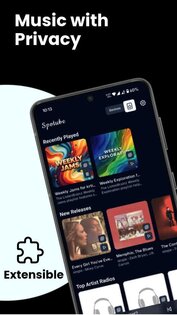 Spotube 5.1.0. Скриншот 1