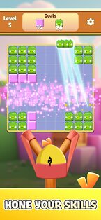 Angry birds block quest 0.1.0. Скриншот 2