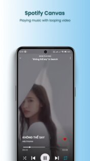 SimpMusic 1.0.1-hf. Скриншот 7