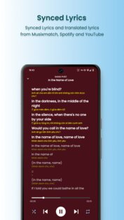 SimpMusic 1.0.1-hf. Скриншот 3