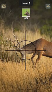 Animal Hunter: Wild Shooting 4.9.0. Скриншот 25