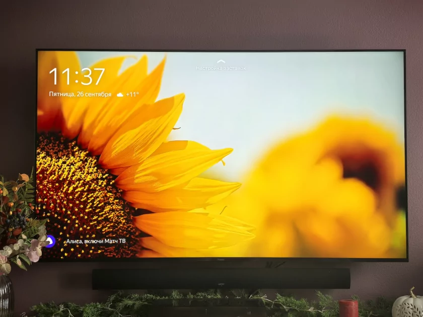 ИИ-помощник, классная матрица и 144 Гц: обзор Яндекс ТВ Станции Про MiniLED 65 — Дисплей и звук. 1