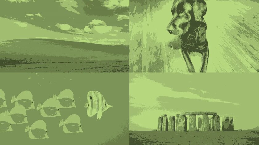 Энтузиаст обновил стандартные обои Windows XP в стиле графики Gameboy — выглядит потрясно