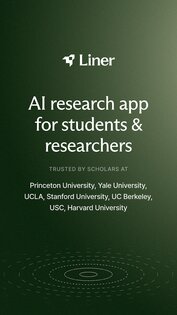 Liner 25.52.0. Скриншот 1