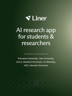 Liner 25.52.0. Скриншот 13