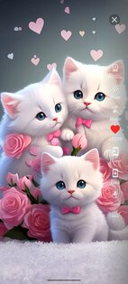 Cute Cats Wallpapers 84.0. Скриншот 1
