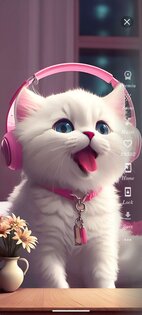Cute Cats Wallpapers 84.0. Скриншот 2