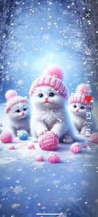 Cute Cats Wallpapers 84.0. Скриншот 3