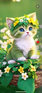 Cute Cats Wallpapers 84.0. Скриншот 5