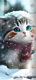Cute Cats Wallpapers 84.0. Скриншот 8
