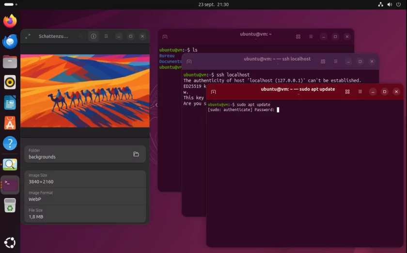 Canonical представила Ubuntu 25.10: с Linux 6.17, GNOME 49 и прочими апгрейдами