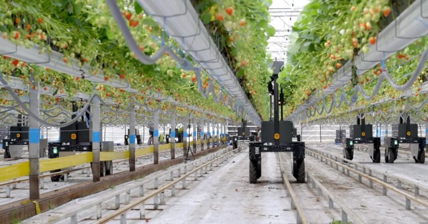 100 лучших изобретений 2025 года по мнению TIME: выбрал самое интересное