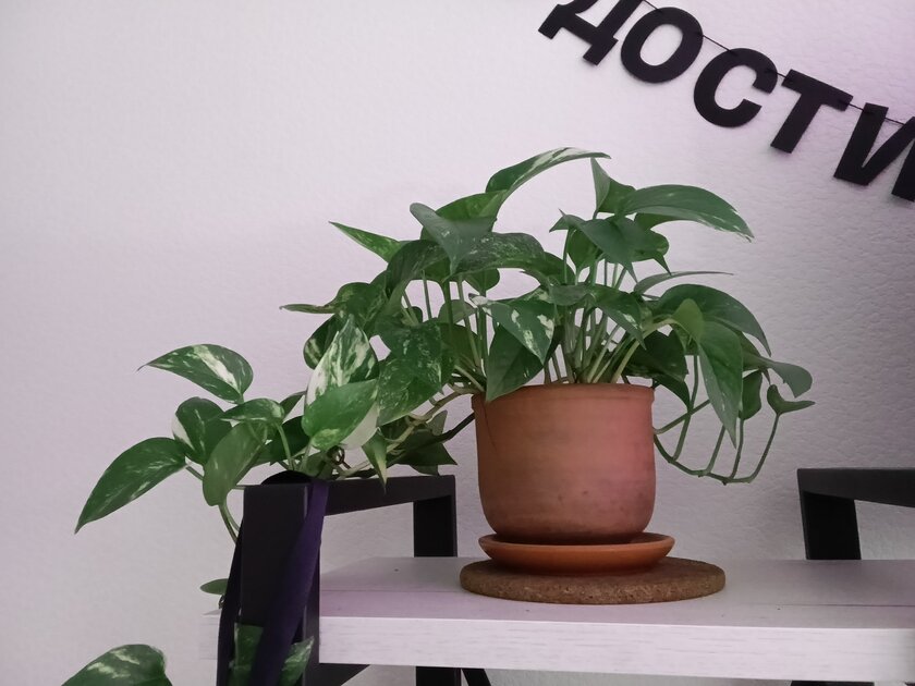 Обзор Infinix XPAD 20 Pro: недорогой планшет с 12 дюймами и нейросетями