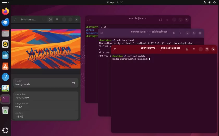 Ryzen 9 9950X и 9950X3D сравнили в Windows 11 и Ubuntu: результаты тестов впечатляют