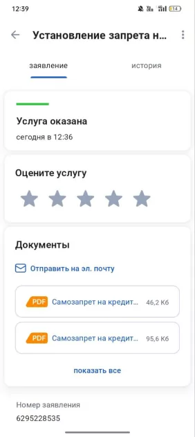 Как установить запрет на кредиты через «Госуслуги» в 2025 году: пошаговая инструкция — Как поставить запрет в «Госуслугах»: полный или частичный. 10