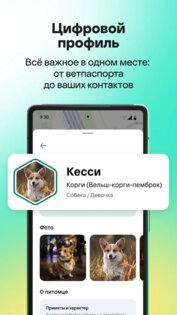 Kaspersky PetKa – поиск пропавших питомцев. Скриншот 7