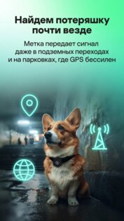 Kaspersky PetKa – поиск пропавших питомцев. Скриншот 4
