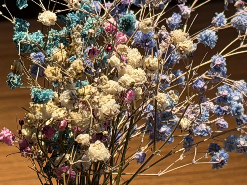 Когда смартфон зашел не в ту дверь. Обзор Apple iPhone 17 Pro