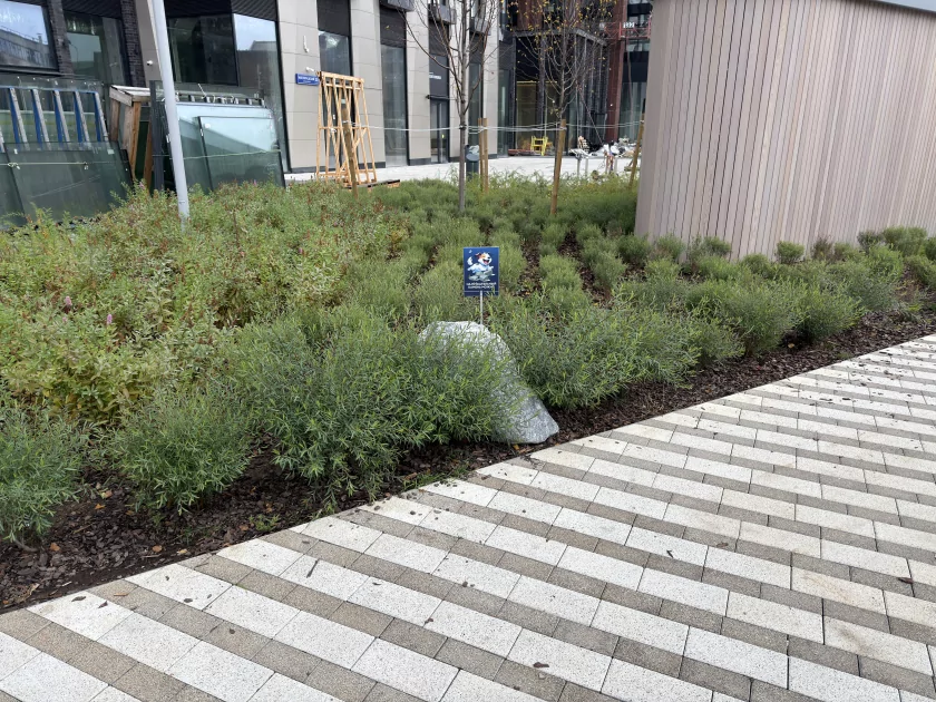 Когда смартфон зашел не в ту дверь. Обзор Apple iPhone 17 Pro