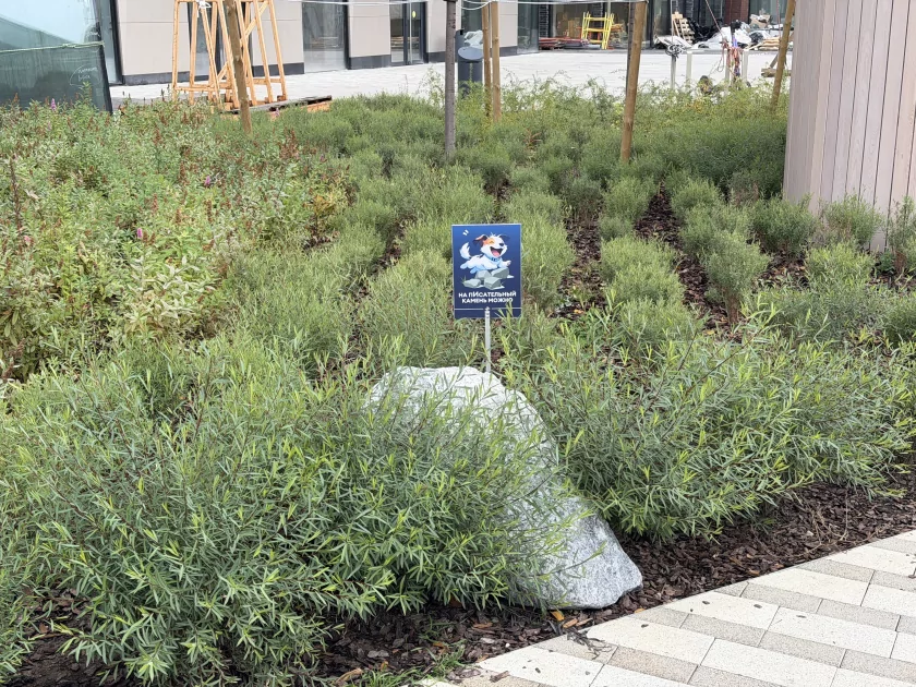 Когда смартфон зашел не в ту дверь. Обзор Apple iPhone 17 Pro