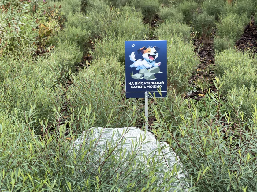 Когда смартфон зашел не в ту дверь. Обзор Apple iPhone 17 Pro