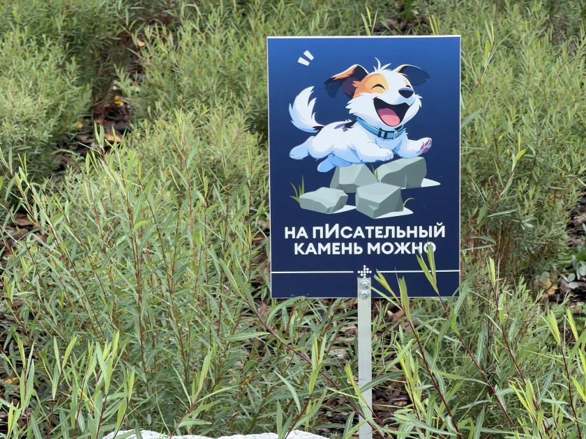 Когда смартфон зашел не в ту дверь. Обзор Apple iPhone 17 Pro