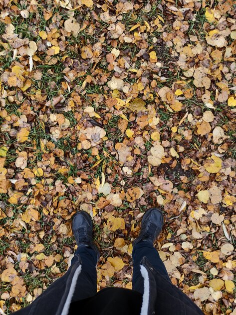 Компактный смартфон с очень удобной диагональю дисплея: обзор vivo X200 FE — Качество снимков. 2