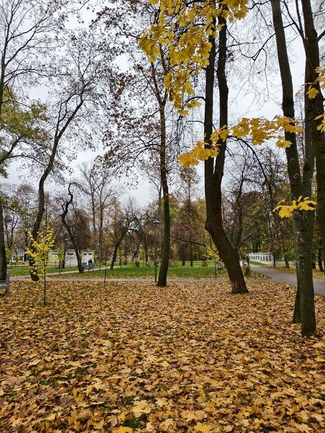 Компактный смартфон с очень удобной диагональю дисплея: обзор vivo X200 FE — Качество снимков. 4