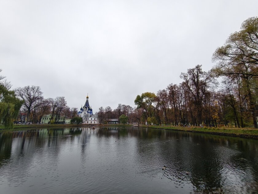 Компактный смартфон с очень удобной диагональю дисплея: обзор vivo X200 FE — Качество снимков. 35