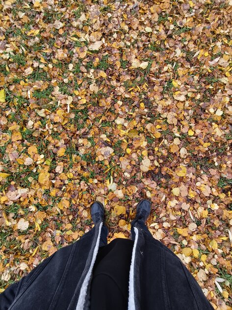 Компактный смартфон с очень удобной диагональю дисплея: обзор vivo X200 FE — Качество снимков. 36