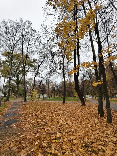 Компактный смартфон с очень удобной диагональю дисплея: обзор vivo X200 FE — Качество снимков. 37