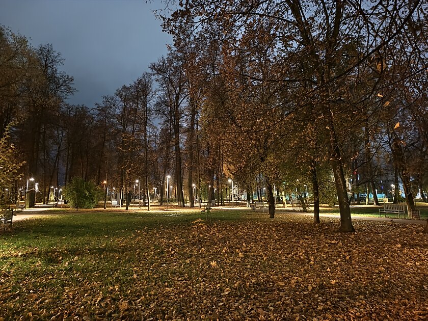 Компактный смартфон с очень удобной диагональю дисплея: обзор vivo X200 FE — Качество снимков. 11