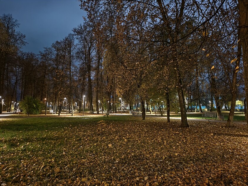 Компактный смартфон с очень удобной диагональю дисплея: обзор vivo X200 FE — Качество снимков. 12