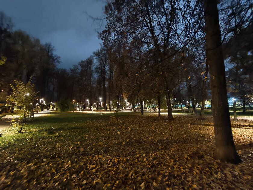 Компактный смартфон с очень удобной диагональю дисплея: обзор vivo X200 FE — Качество снимков. 45