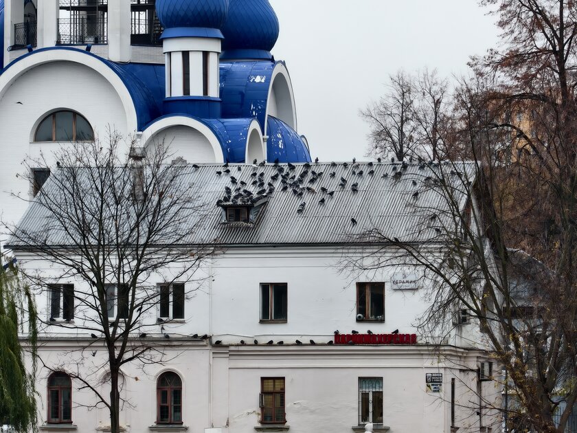 Компактный смартфон с очень удобной диагональю дисплея: обзор vivo X200 FE — Качество снимков. 18