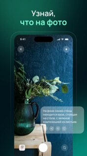 Vivi нейросеть 2.2.1. Скриншот 2