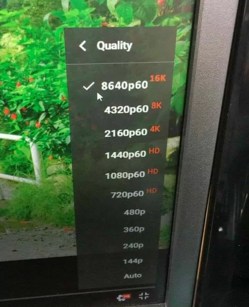 Когда раздал интернет друзьям