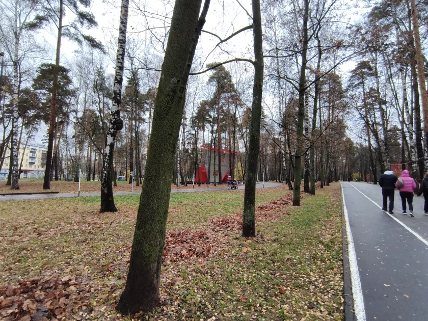 Недорогой геймерский смартфон с сенсорными триггерами и 144 Гц: обзор Infinix GT 30 — Качество снимков. 31