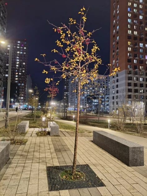 Недорогой геймерский смартфон с сенсорными триггерами и 144 Гц: обзор Infinix GT 30 — Качество снимков. 16