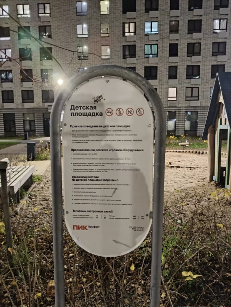 Недорогой геймерский смартфон с сенсорными триггерами и 144 Гц: обзор Infinix GT 30 — Качество снимков. 18