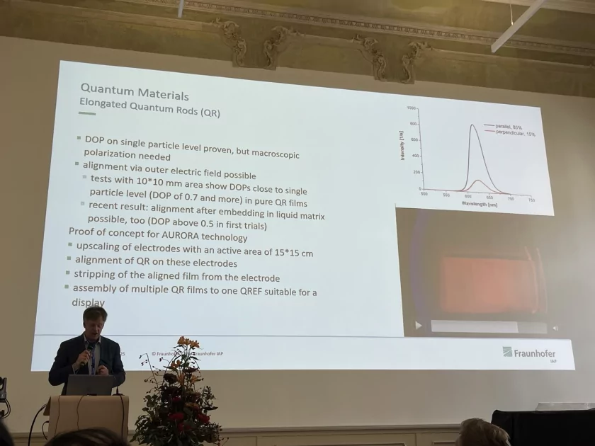 Квантовые стержни вместо квантовых точек: представлена более энергоэффективная технология QRED