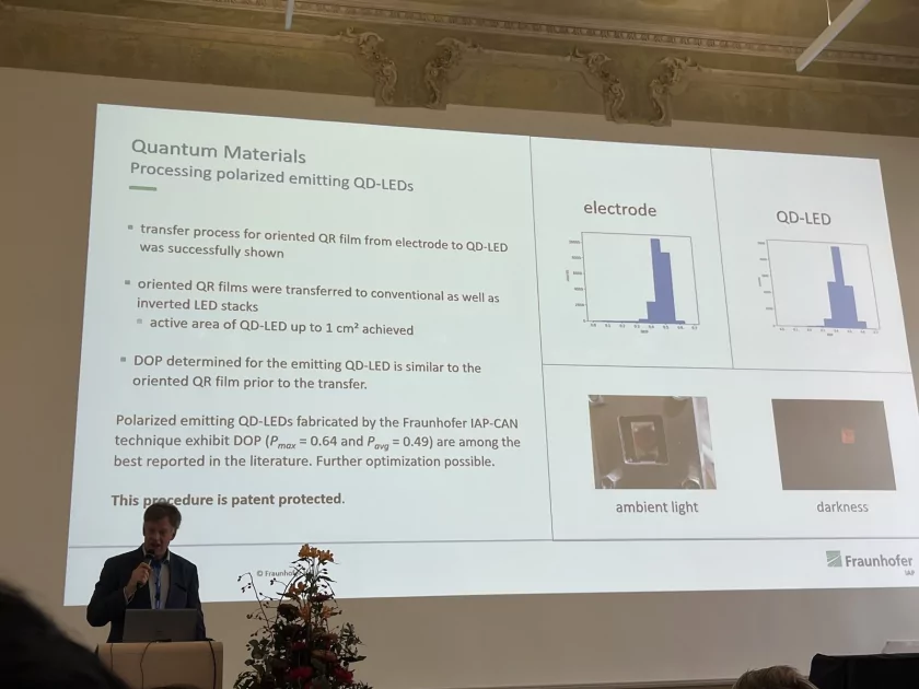 Квантовые стержни вместо квантовых точек: представлена более энергоэффективная технология QRED