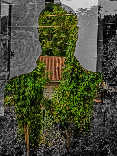 Яркие кадры, цифровизация и даже ИИ: как прошла выставка Paris Photo 2025