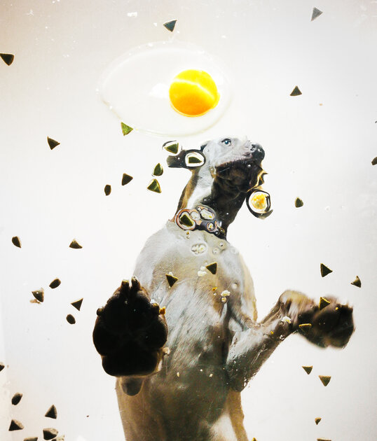 Яркие кадры, цифровизация и даже ИИ: как прошла выставка Paris Photo 2025